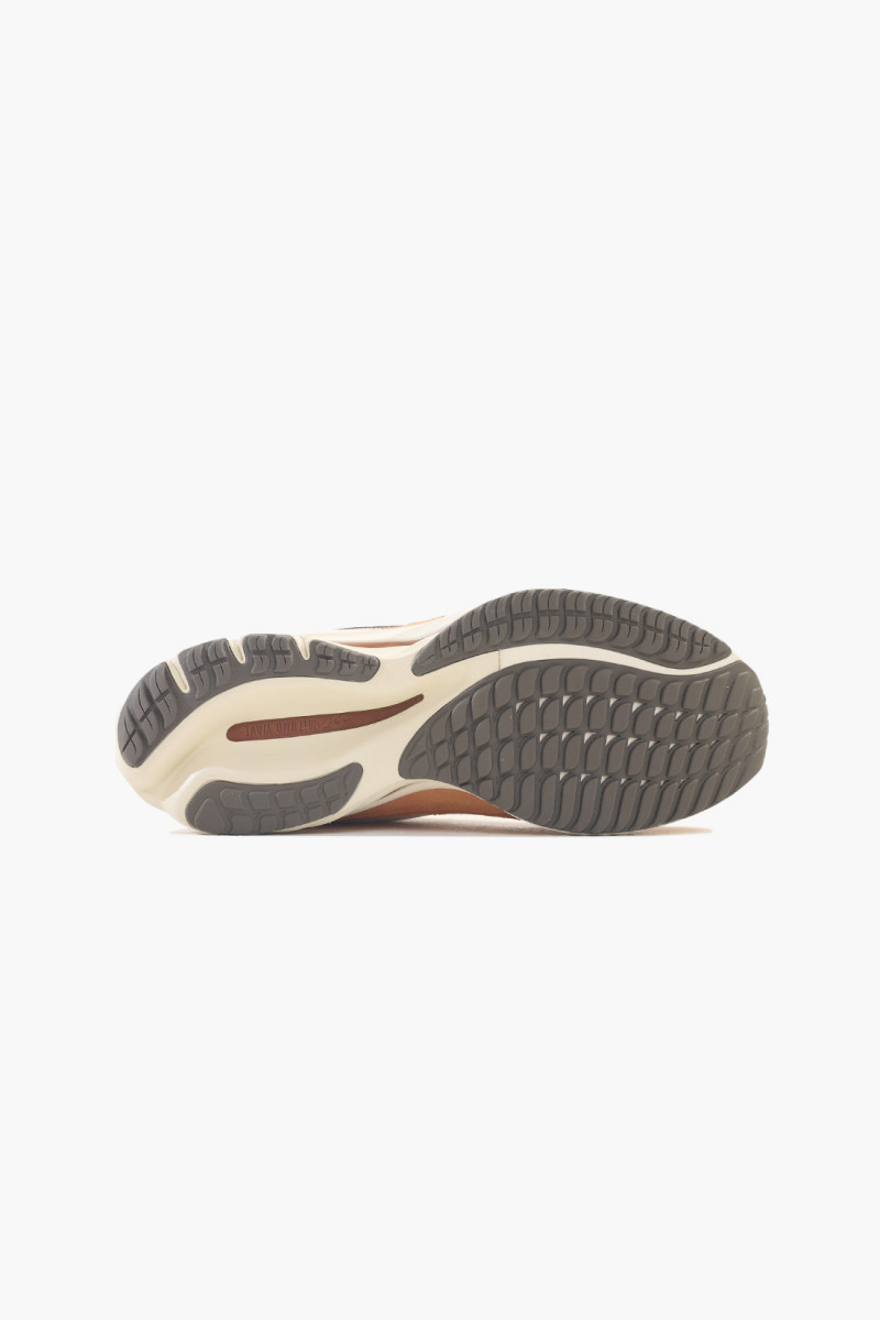 Wave rider b Peach bloom/brown